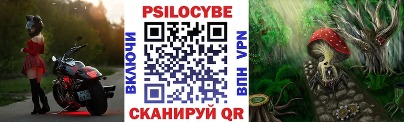 Галлюциногенные грибы GOLDEN TEACHER  цены наркотик  Алексин 